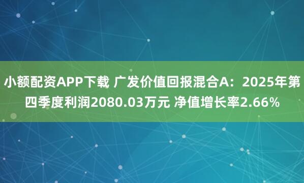 小额配资APP下载 广发价值回报混合A：2025年第四季度利润2080.03万元 净值增长率2.66%
